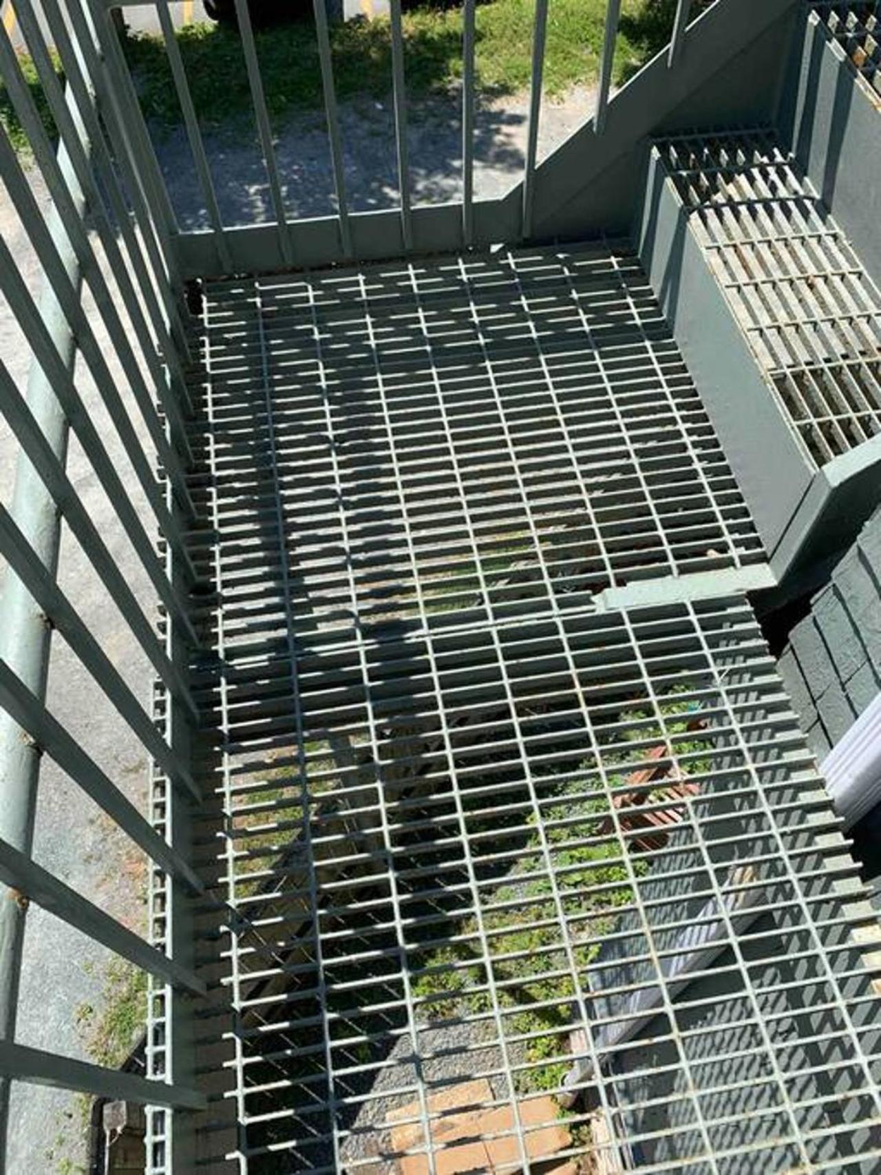 Apartamento The Loft At Hiltz House Halifax Exterior foto